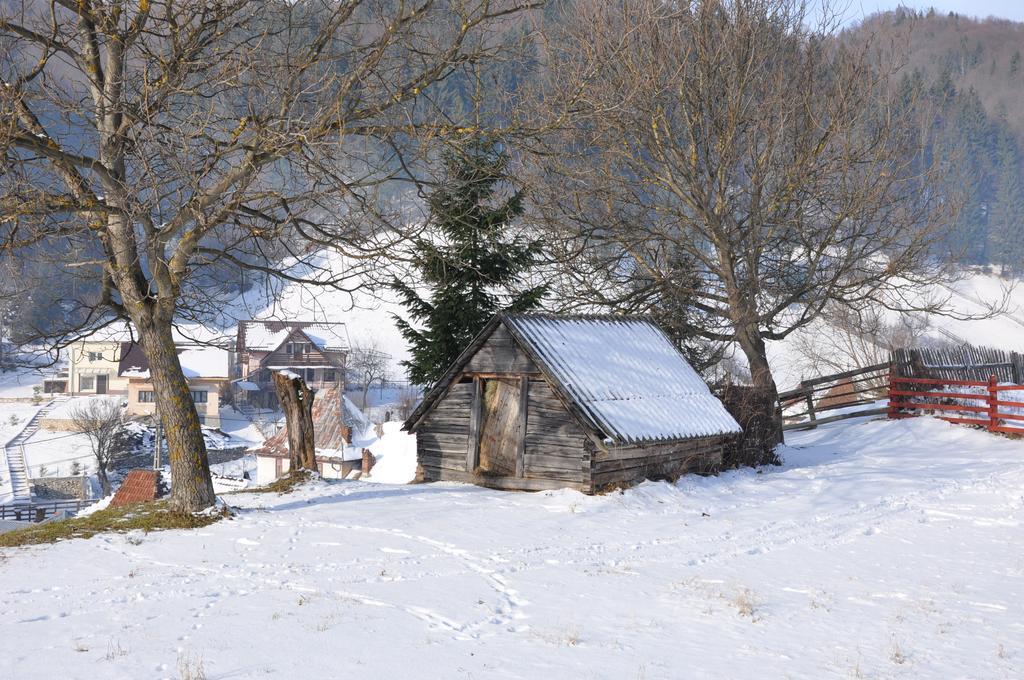 Pensiunea La Ionica Dâmbovicioara Exterior photo