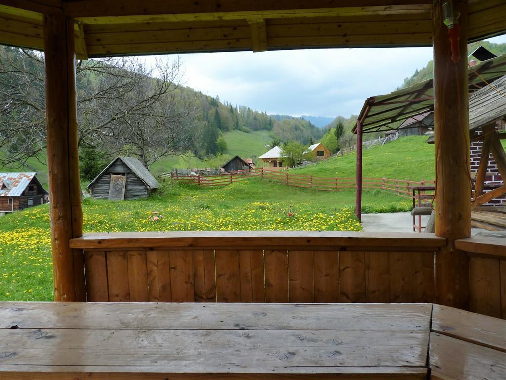 Pensiunea La Ionica Dâmbovicioara Exterior photo